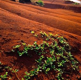 《命运2》终于推出全新PvP地图 距上次已超过950天